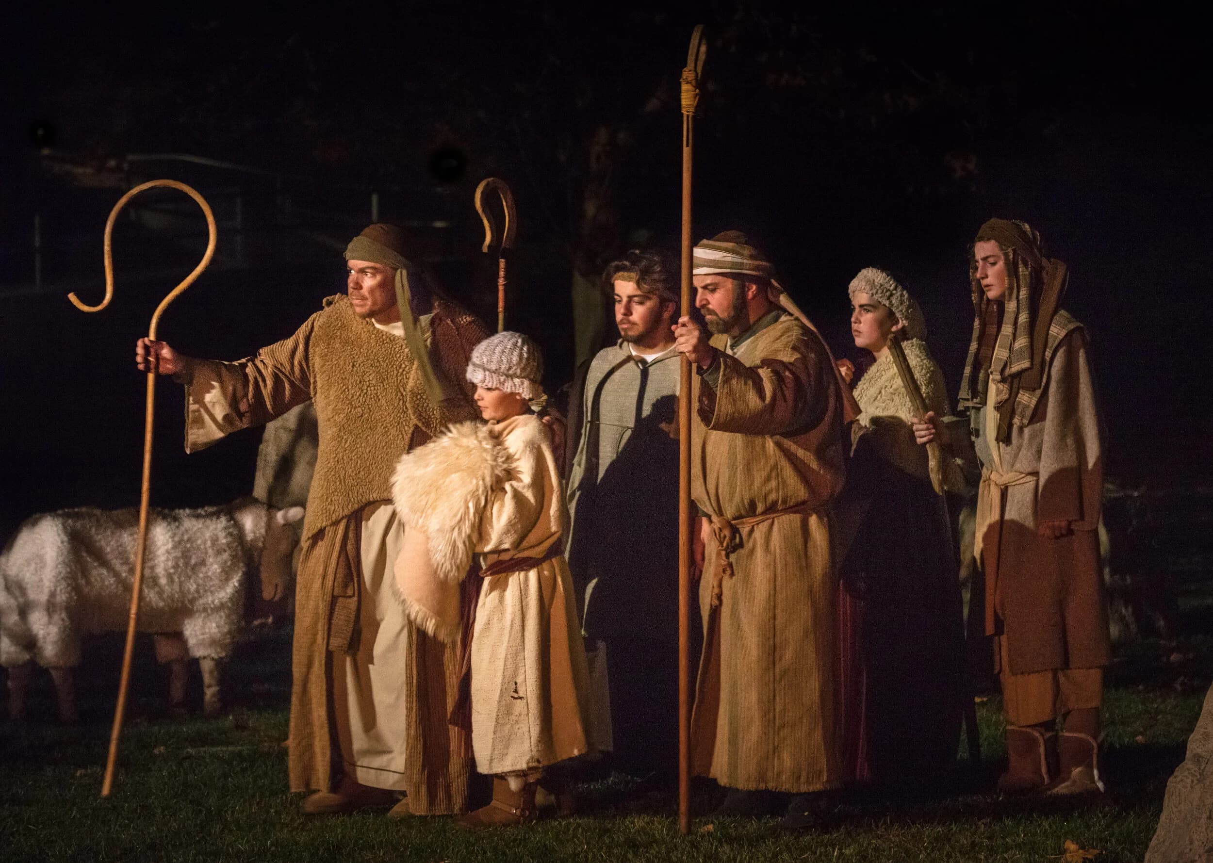 A line of shepherds in robes and headwraps stand holding wooden staffs beside sheep in a dark field.
