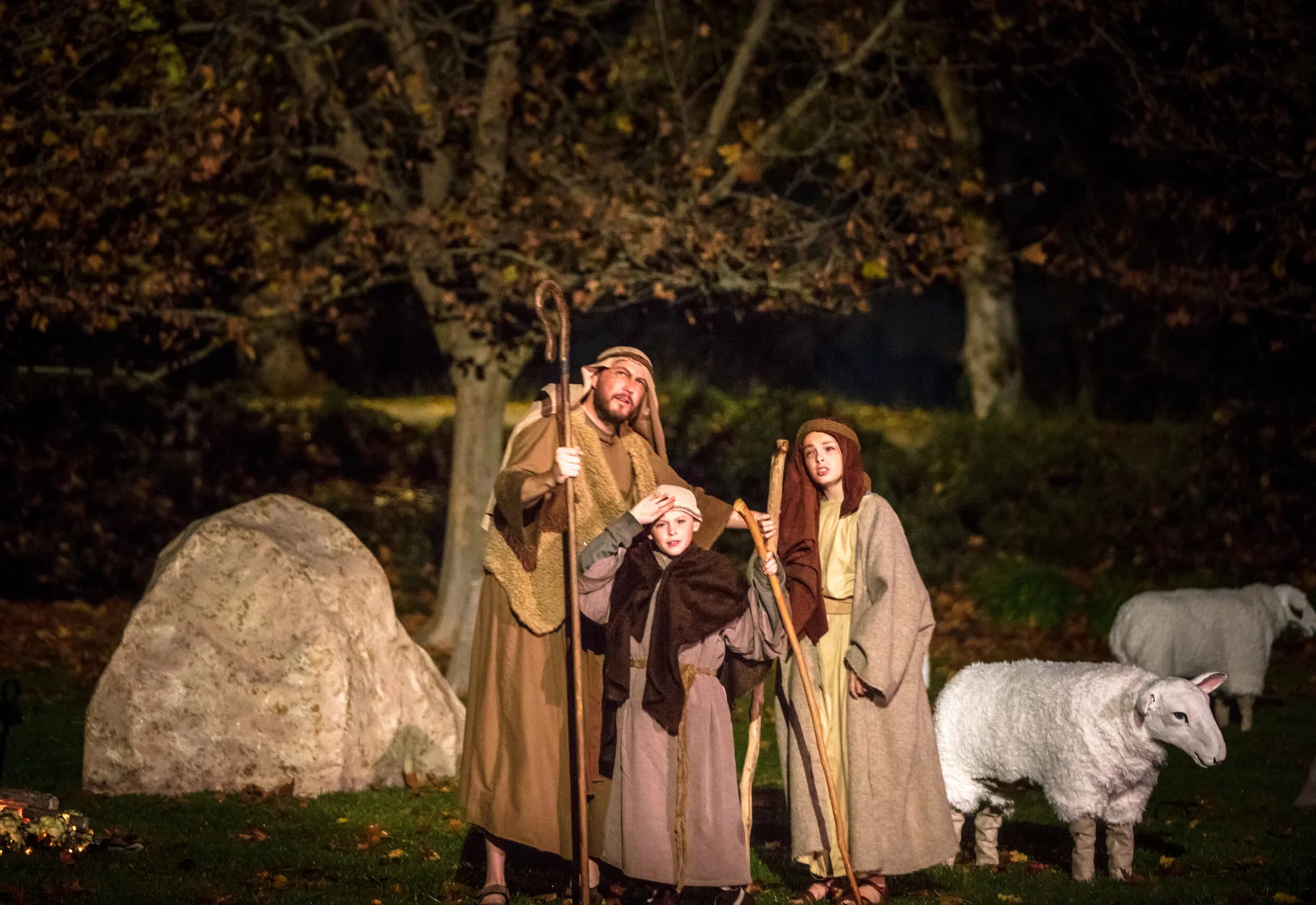 A man and two children dressed as shepherds lean on wooden staffs beside a large boulder, gazing upward with sheep grazing nearby in a wooded field lit by a small fire.